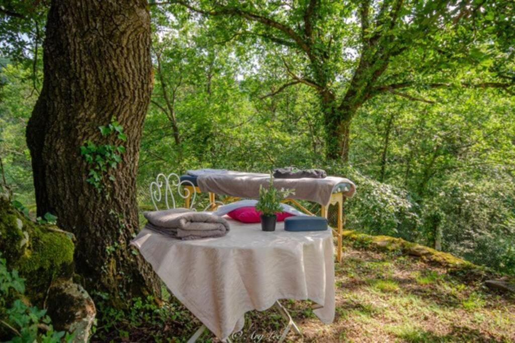 Gite Du Mont Plaisir Villa Chouvigny Bagian luar foto